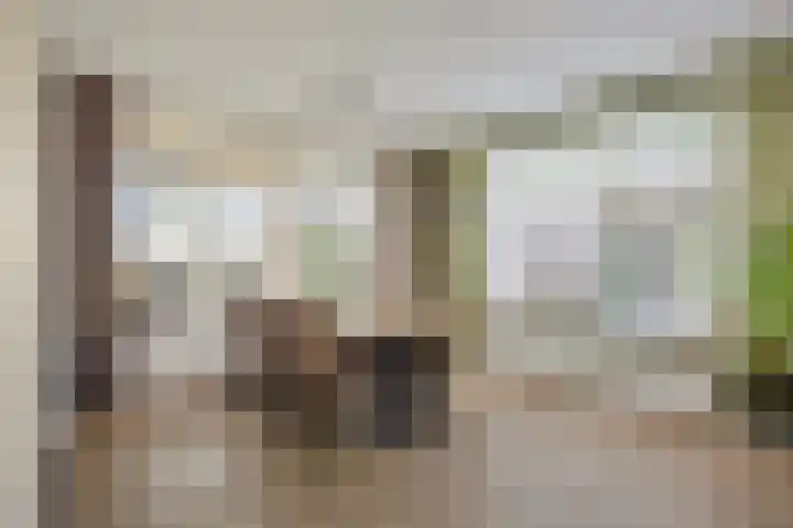 Beemden 23 Reusel thumbnail 10