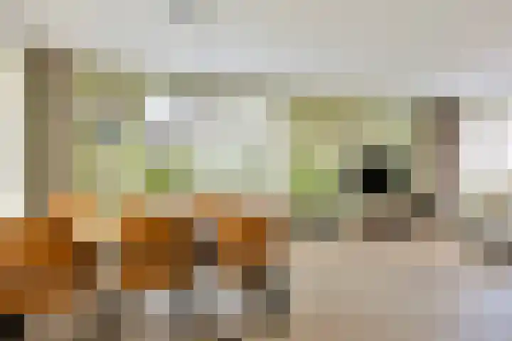 Beemden 23 Reusel thumbnail 11