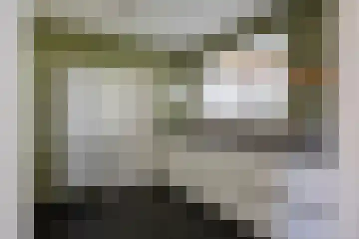 Beemden 23 Reusel thumbnail 12