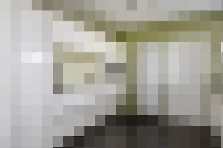 Beemden 23 Reusel thumbnail 13