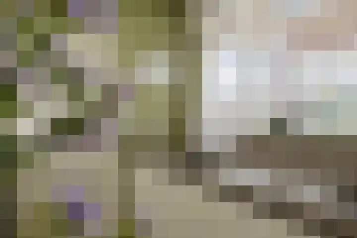 Beemden 23 Reusel thumbnail 15