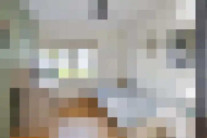 Beemden 23 Reusel thumbnail 23