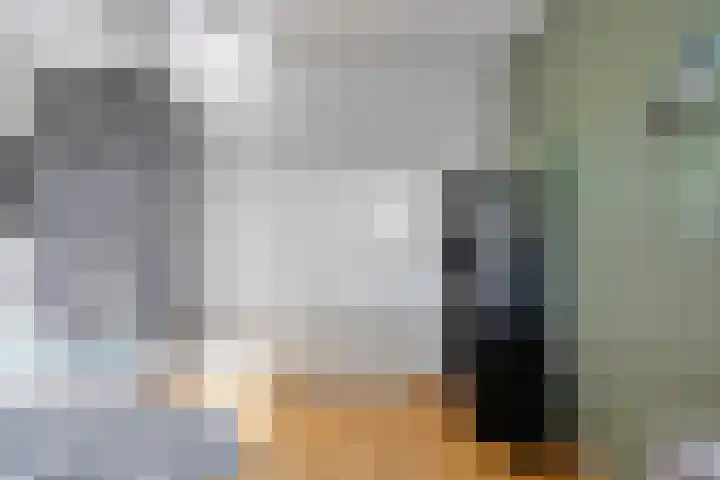 Beemden 23 Reusel thumbnail 24
