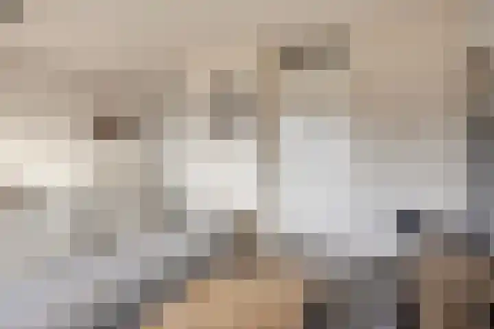 Beemden 23 Reusel thumbnail 26