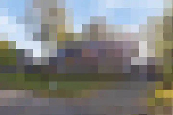 Beemden 23 Reusel thumbnail 30