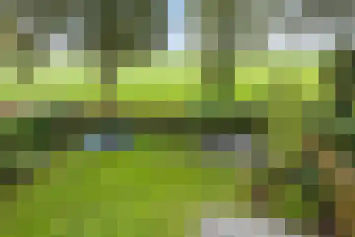 Beemden 23 Reusel thumbnail 32