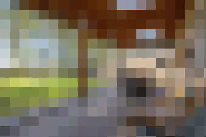 Beemden 23 Reusel thumbnail 33