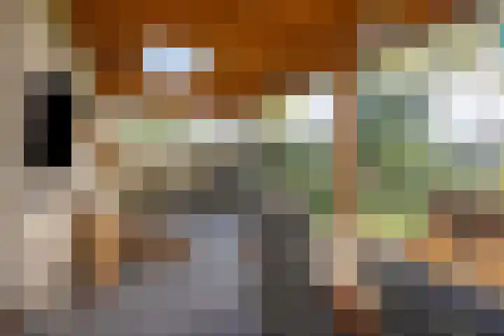 Beemden 23 Reusel thumbnail 34
