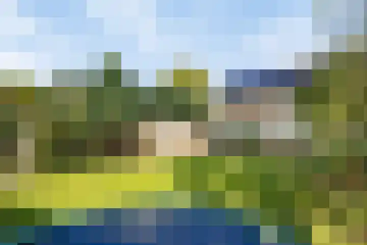 Beemden 23 Reusel thumbnail 37
