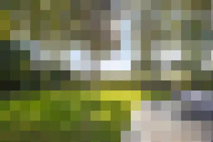 Beemden 23 Reusel thumbnail 40