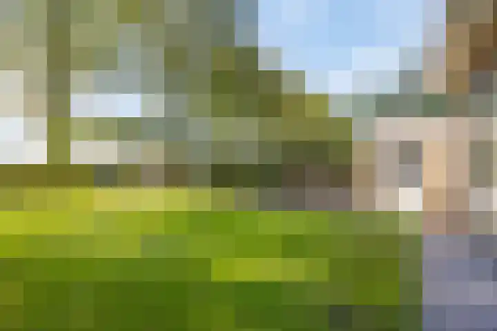 Beemden 23 Reusel thumbnail 41