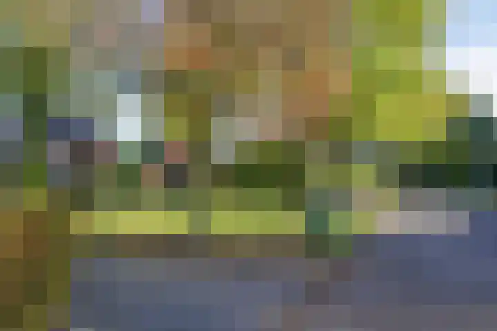 Beemden 23 Reusel thumbnail 44