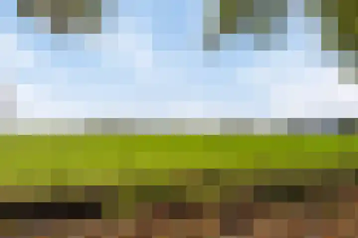 Beemden 23 Reusel thumbnail 45