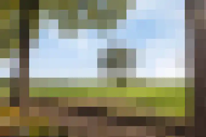 Beemden 23 Reusel thumbnail 46
