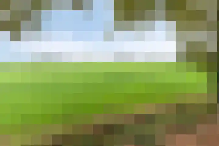 Beemden 23 Reusel thumbnail 47