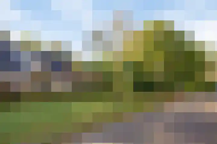 Beemden 23 Reusel thumbnail 48