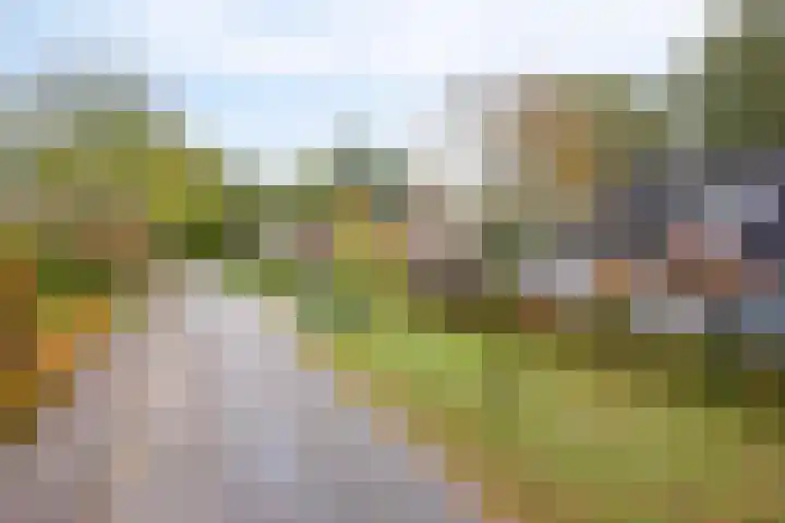 Beemden 23 Reusel thumbnail 49