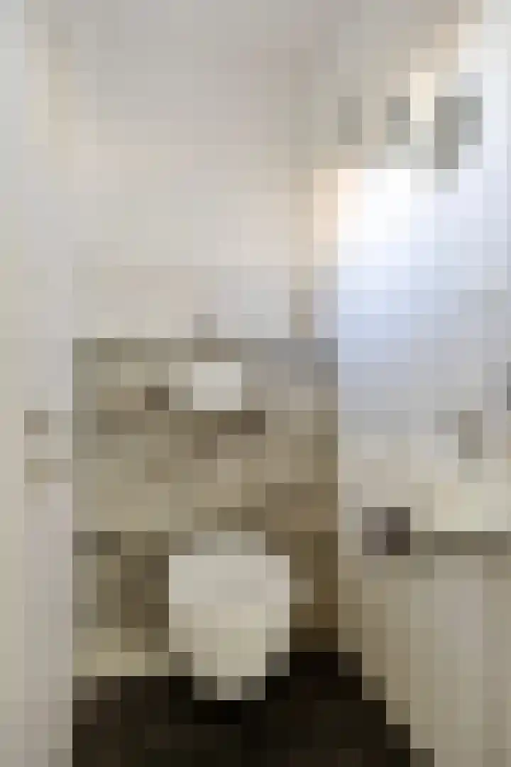 Beemden 23 Reusel thumbnail 5