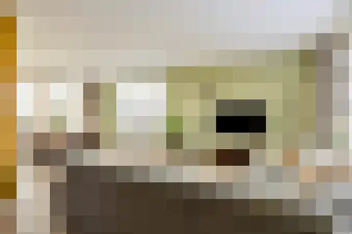 Beemden 23 Reusel thumbnail 9