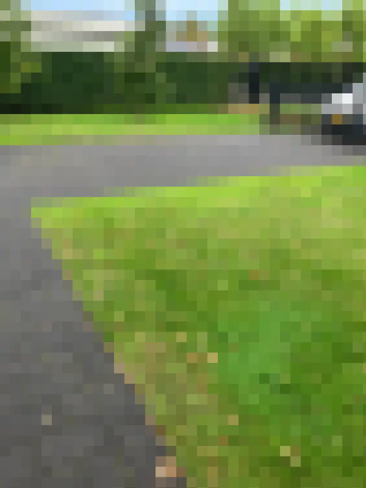 Beemden 33 B Reusel thumbnail 10