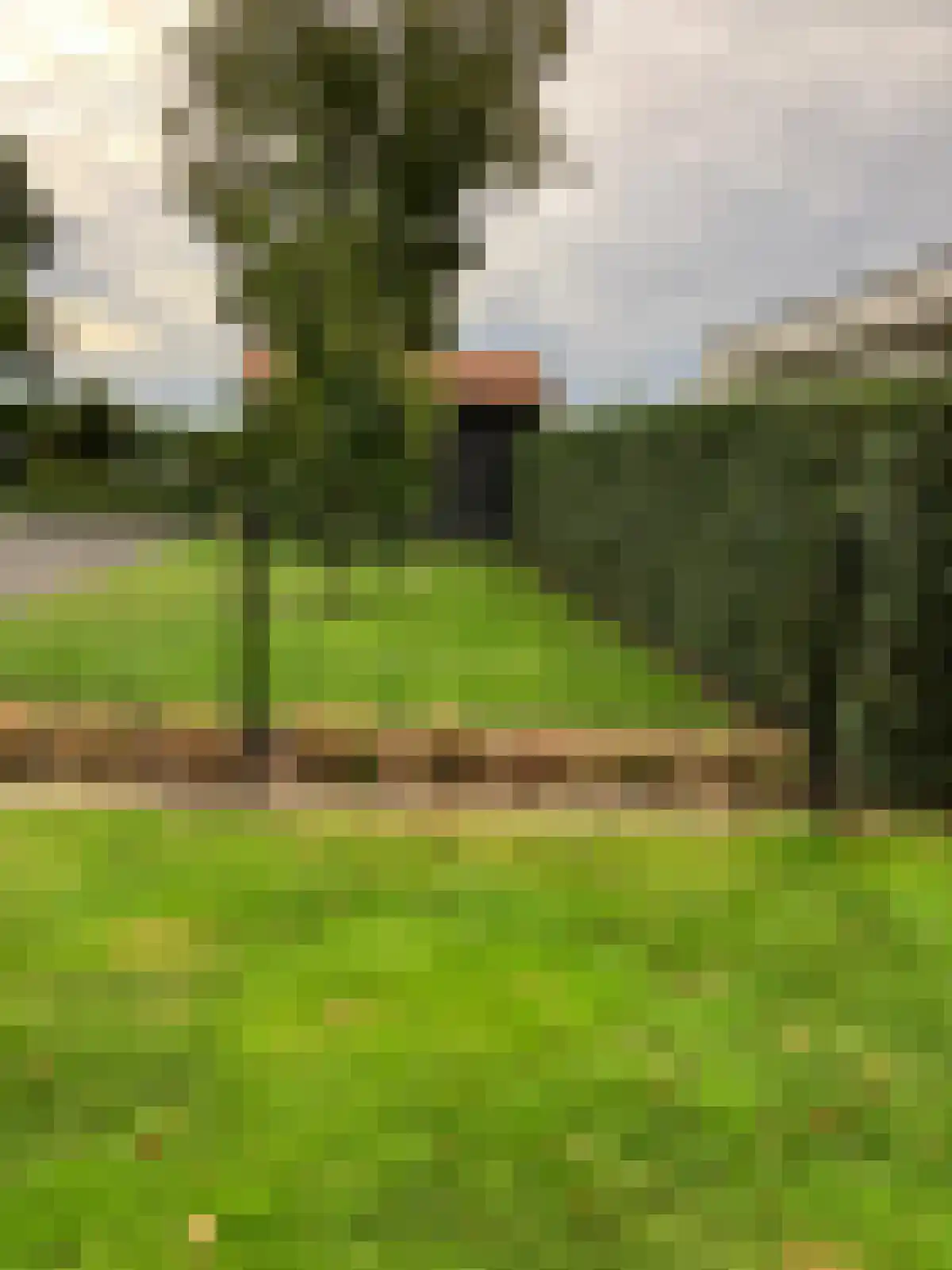 Beemden 33 B Reusel thumbnail 8