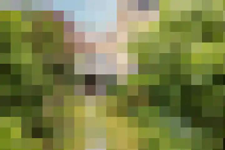 Beemden 37 Leusden thumbnail 34