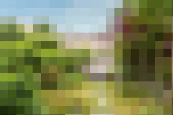 Beemden 37 Leusden thumbnail 35