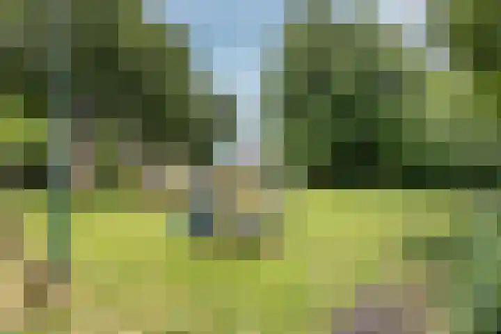 Beemden 37 Leusden thumbnail 36