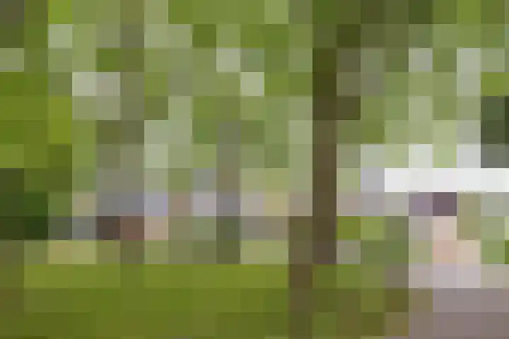 Beemden 37 Leusden thumbnail 38