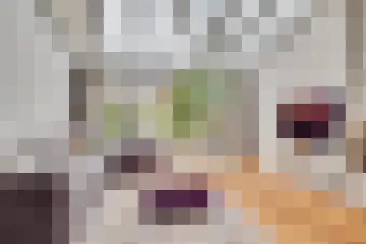 Beemden 37 Leusden thumbnail 8