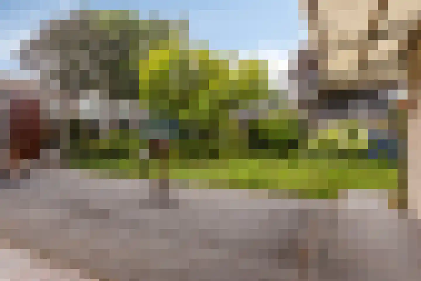 Beemden 43 Reusel thumbnail 29