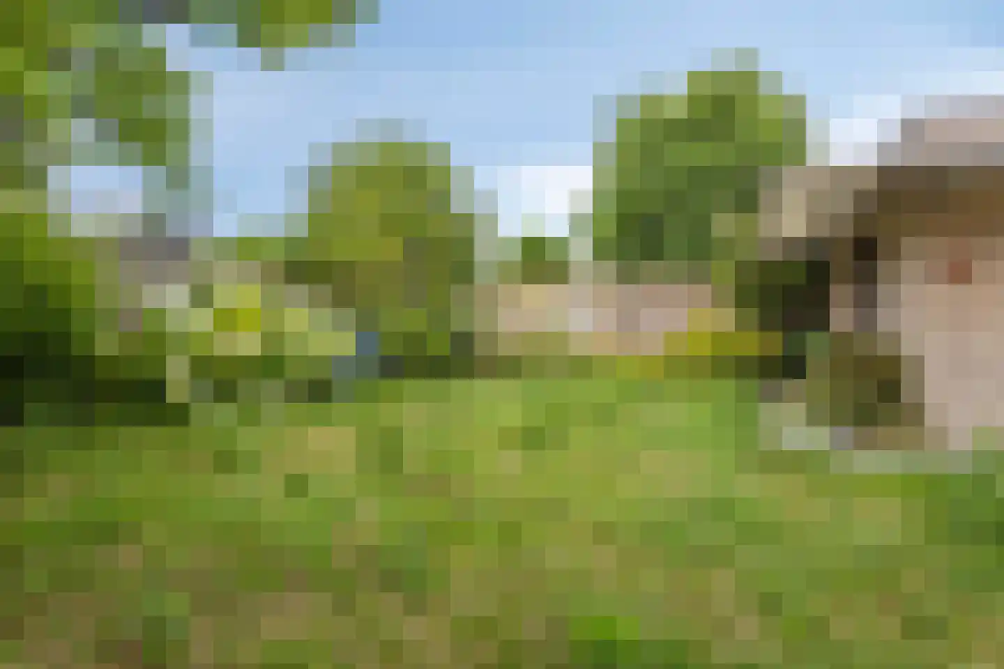 Beemden 43 Reusel thumbnail 32