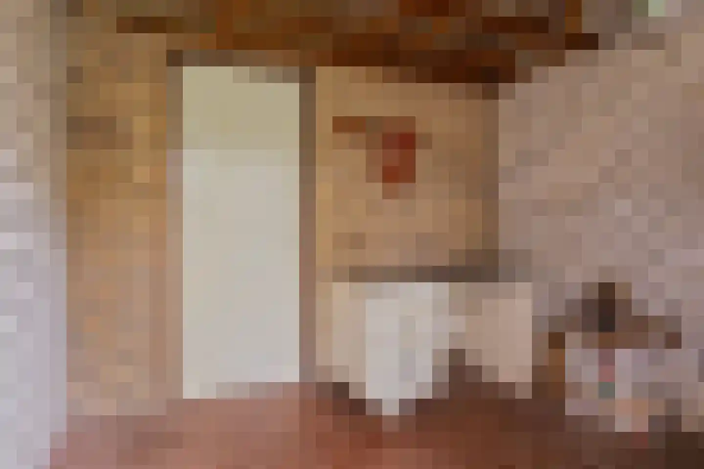 Beemden 43 Reusel thumbnail 36