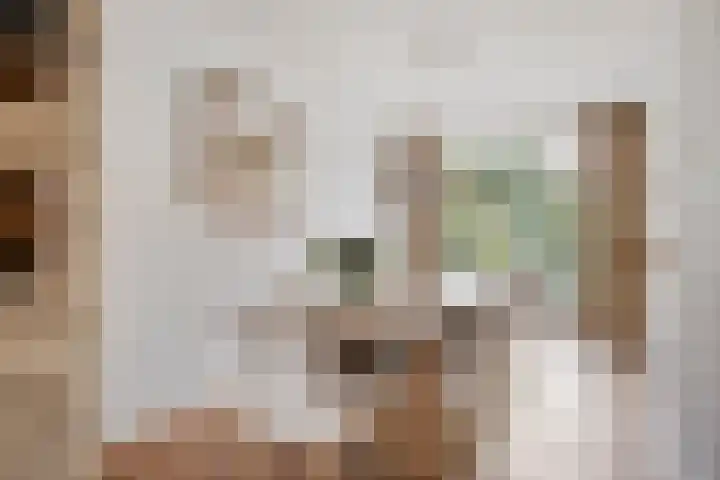 Beemden 7 Berlicum thumbnail 10