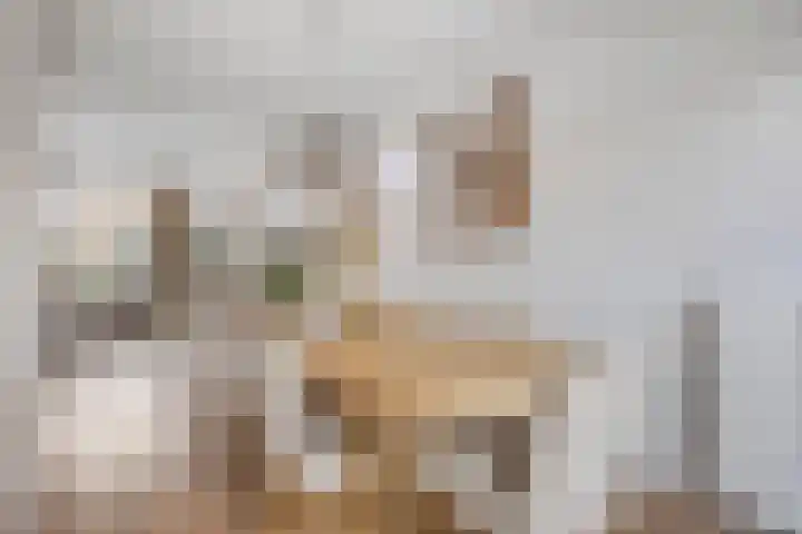Beemden 7 Berlicum thumbnail 11