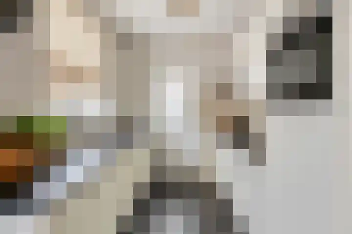 Beemden 7 Berlicum thumbnail 12