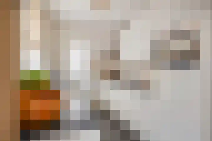 Beemden 7 Berlicum thumbnail 13