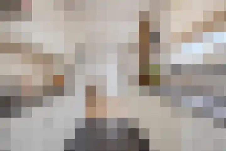 Beemden 7 Berlicum thumbnail 14