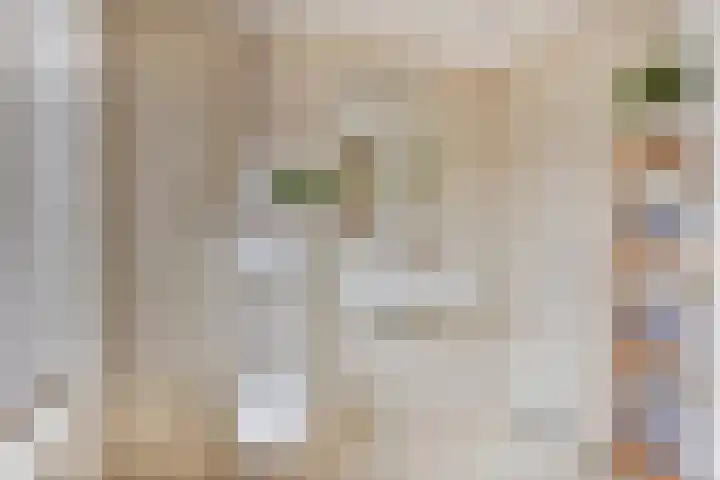 Beemden 7 Berlicum thumbnail 18