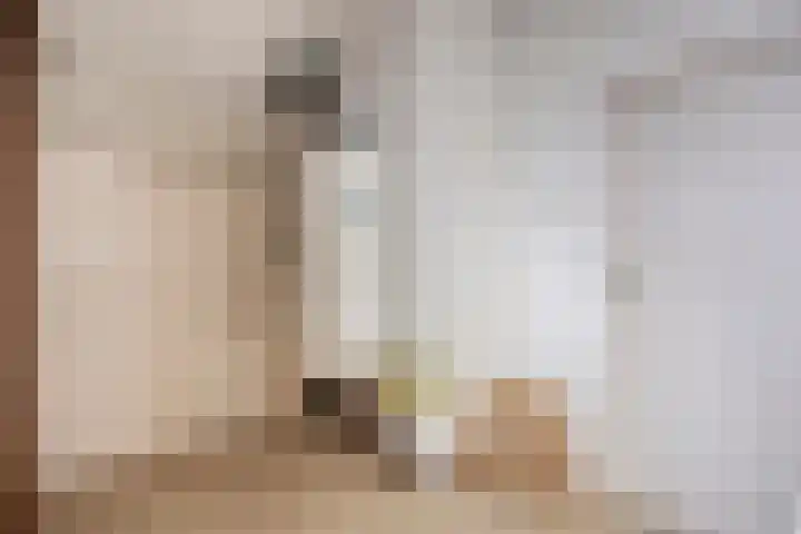 Beemden 7 Berlicum thumbnail 28