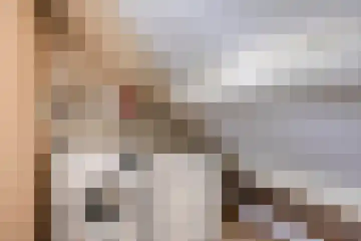 Beemden 7 Berlicum thumbnail 29