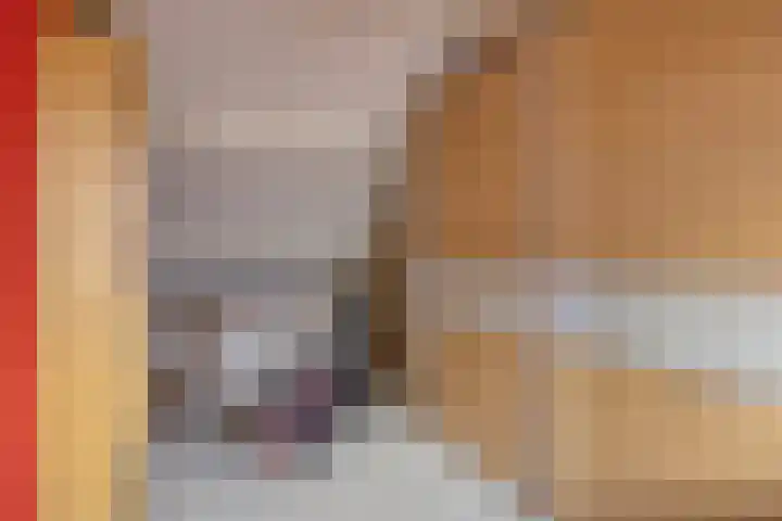 Beemden 7 Berlicum thumbnail 30