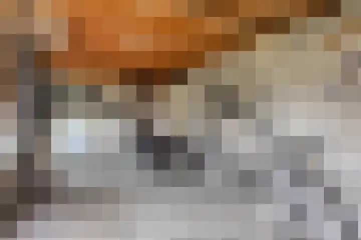 Beemden 7 Berlicum thumbnail 32