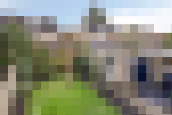 Beemden 7 Berlicum thumbnail 37
