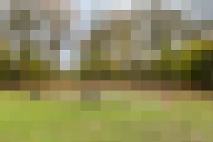 Beemden 7 Berlicum thumbnail 42