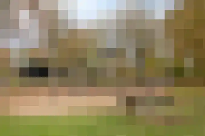 Beemden 7 Berlicum thumbnail 43