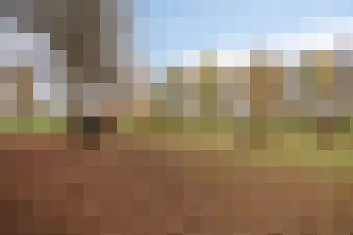 Beemden 7 Berlicum thumbnail 44
