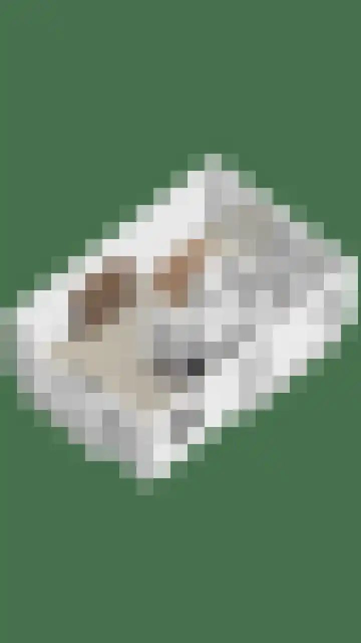 Beemden 7 Berlicum thumbnail 49