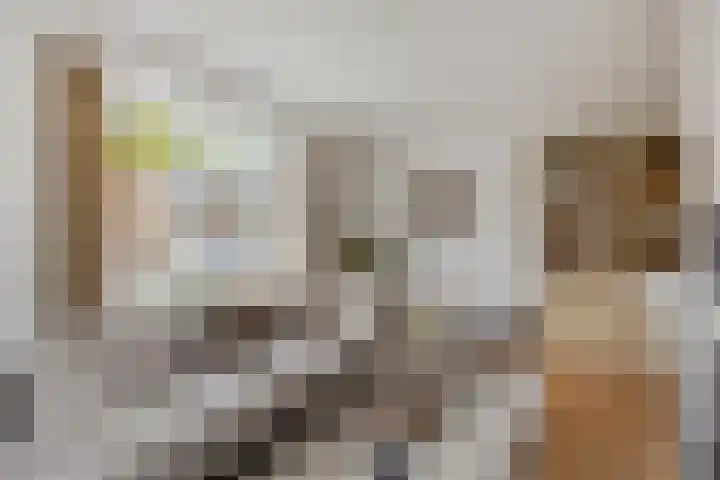Beemden 7 Berlicum thumbnail 5