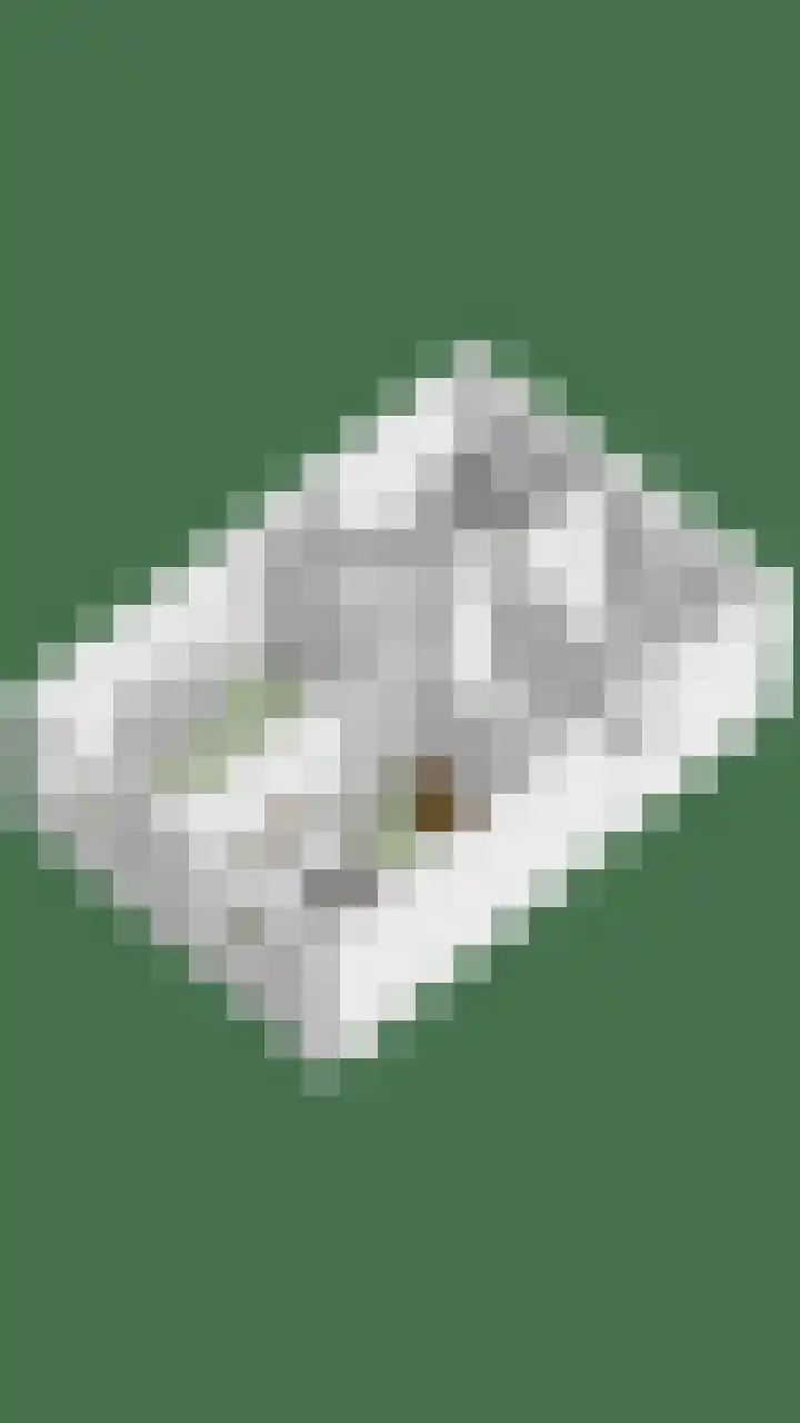 Beemden 7 Berlicum thumbnail 50